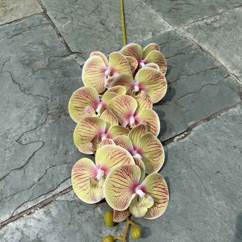 Multi-colored artificial Phalaenopsis orchids with a hand feel