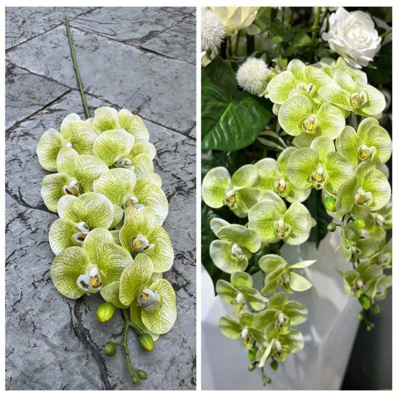 Realistic-looking fake Phalaenopsis orchid