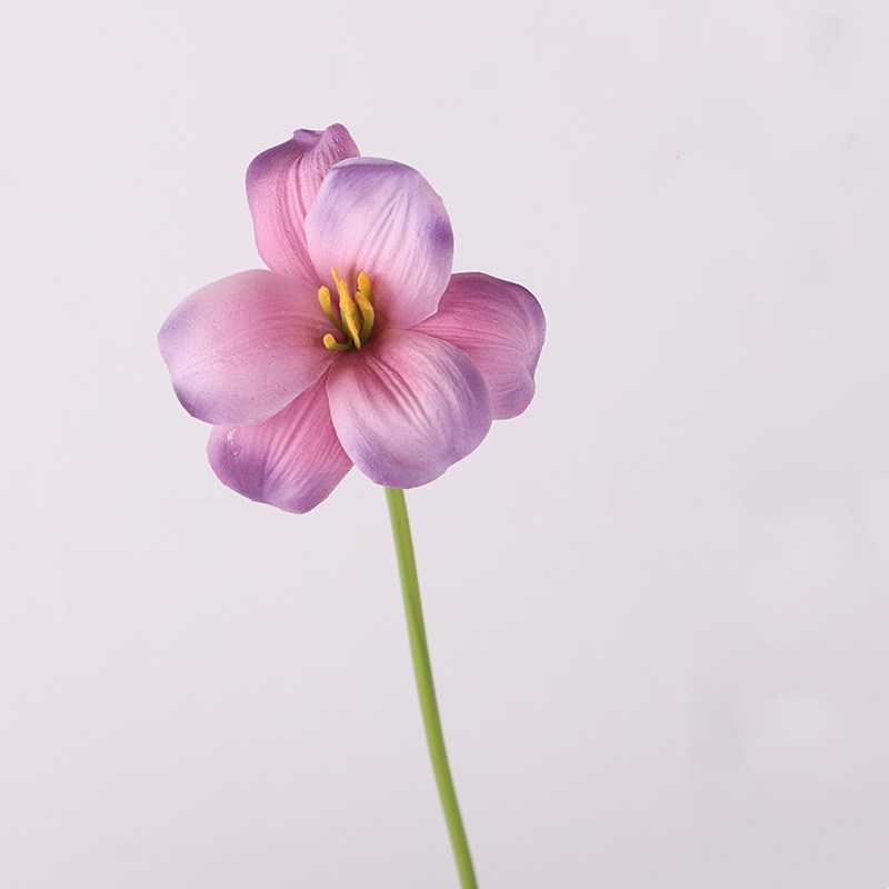 Smile-shaped artificial tulip