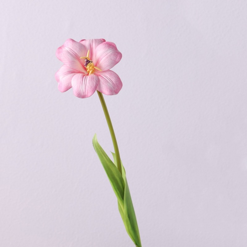 Wholesale smiley face shaped tulips
