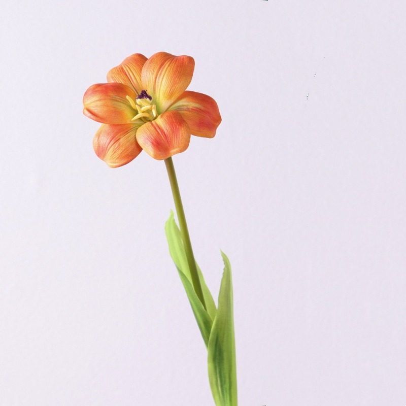 Wholesale smiley face shaped tulips