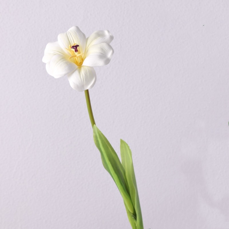 Wholesale smiley face shaped tulips