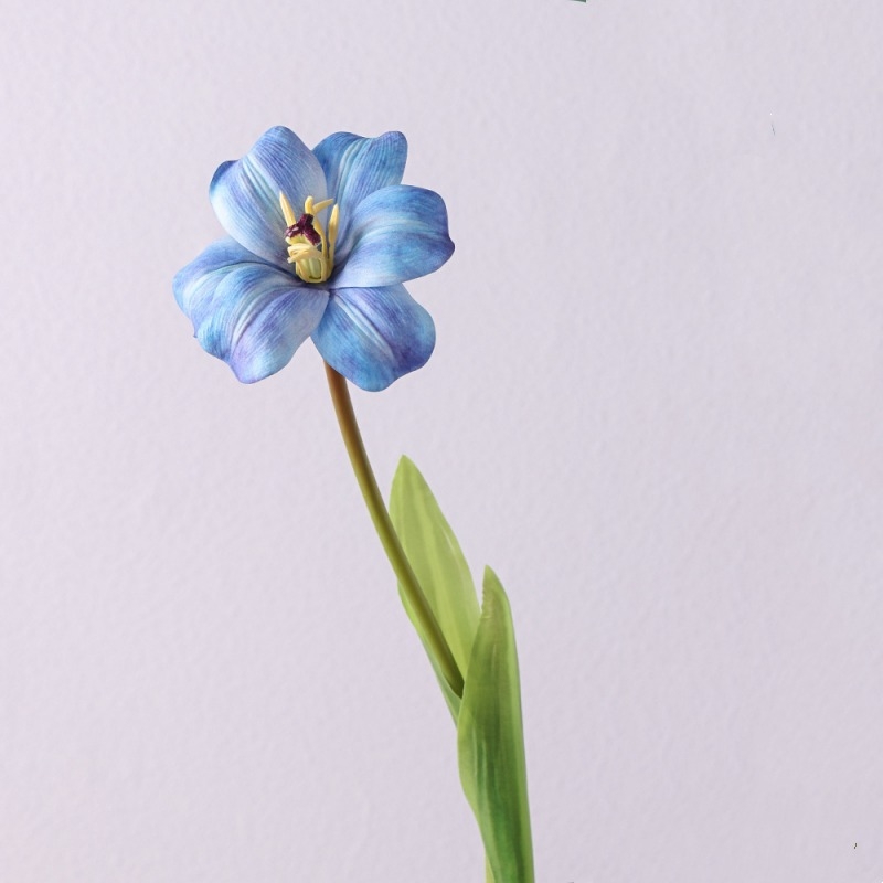 Wholesale smiley face shaped tulips