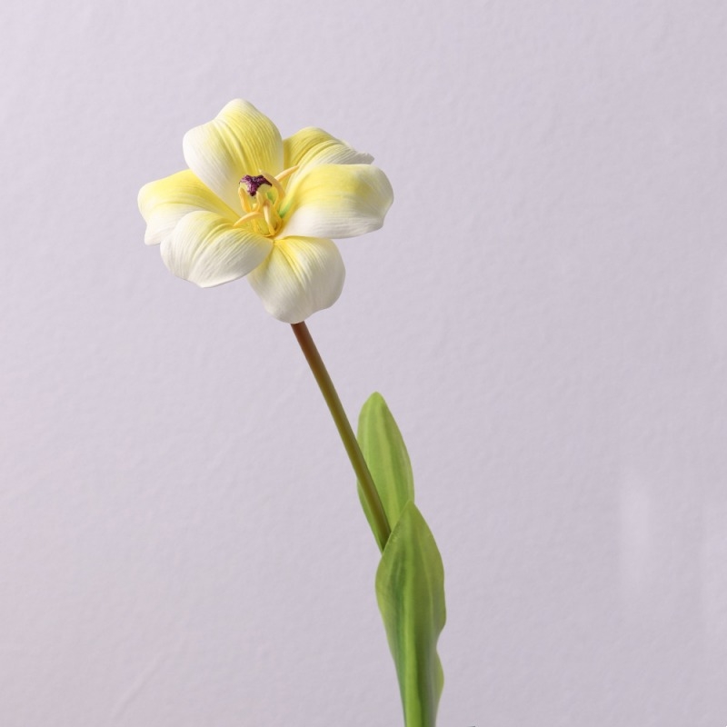 Wholesale smiley face shaped tulips