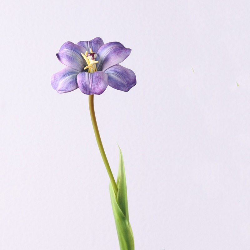 Wholesale smiley face shaped tulips