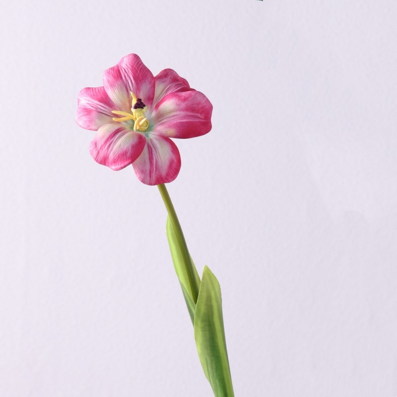 Wholesale smiley face shaped tulips