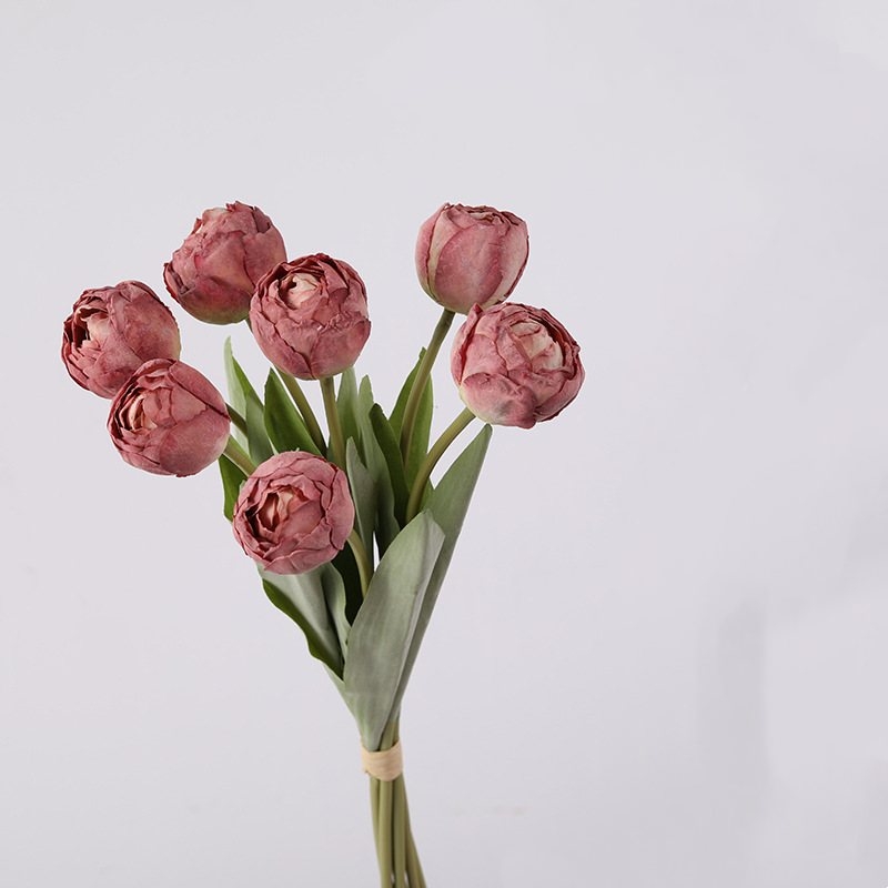 Realistic Retro Tulip Bundle