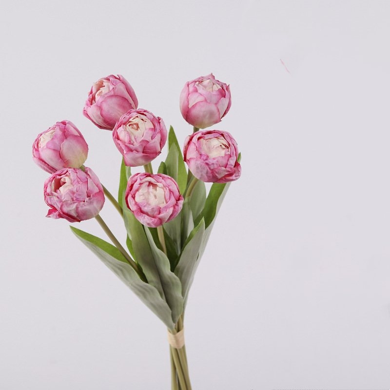 Realistic Retro Tulip Bundle