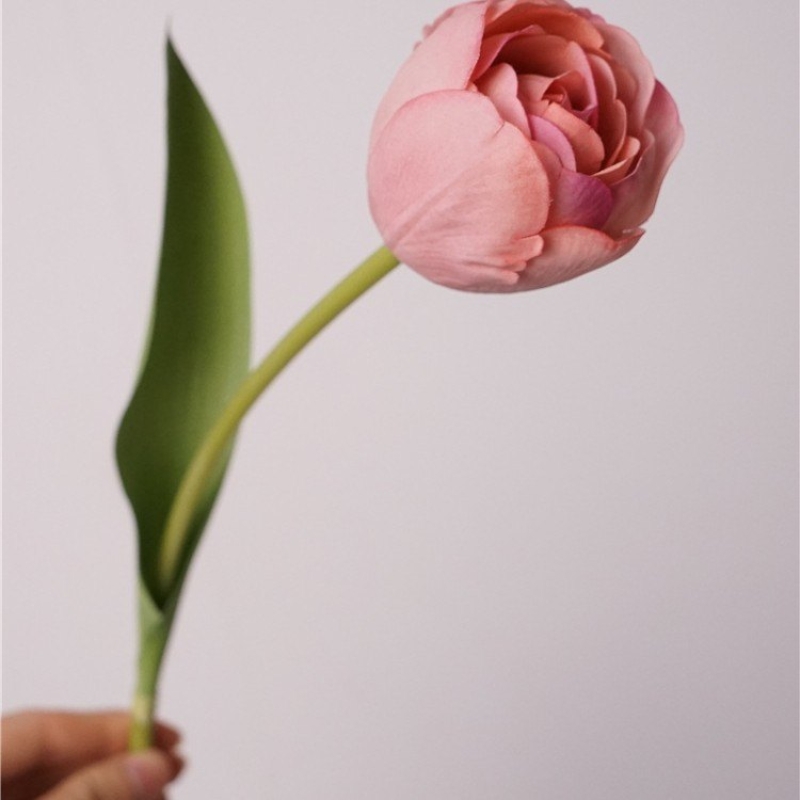 Artificial tulip-shaped camellia