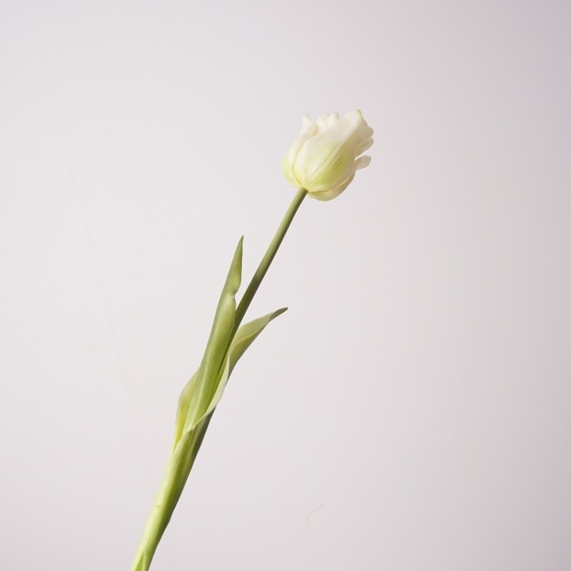 Highly realistic tulip flowers
