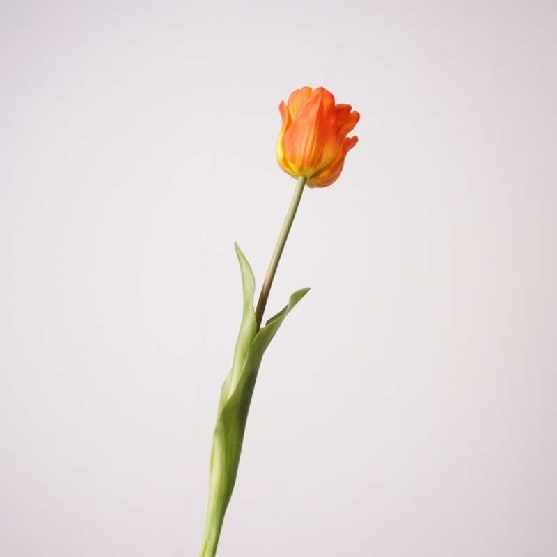 Highly realistic tulip flowers