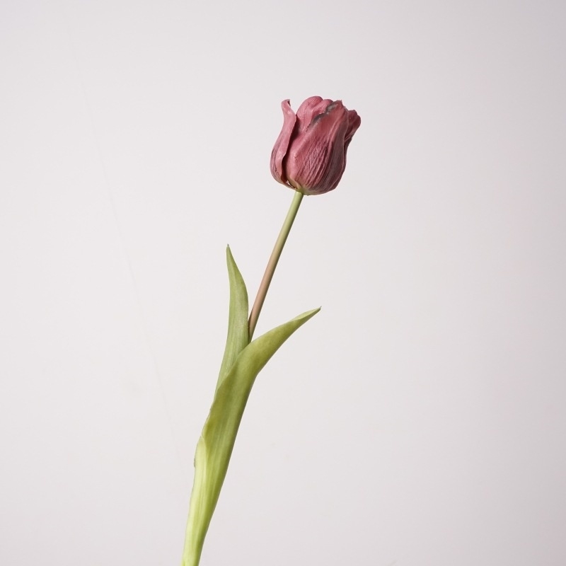Highly realistic tulip flowers