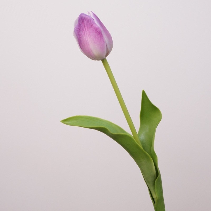 Fake tulip for sale