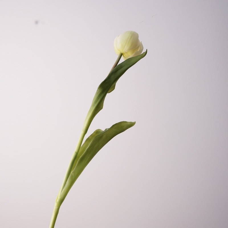 Highly realistic tulip buds