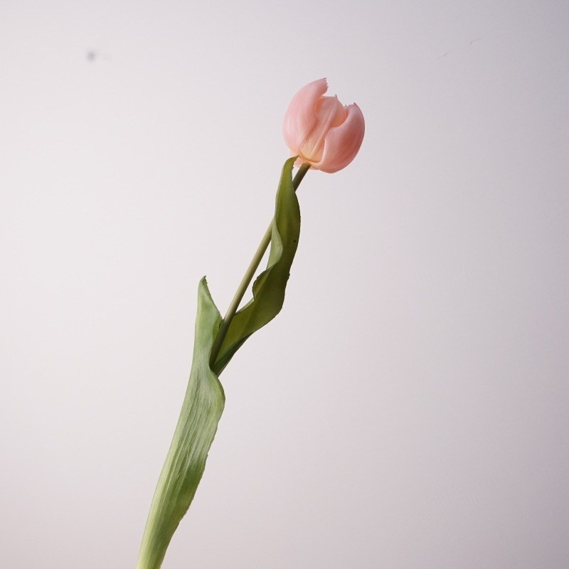 Highly realistic tulip buds