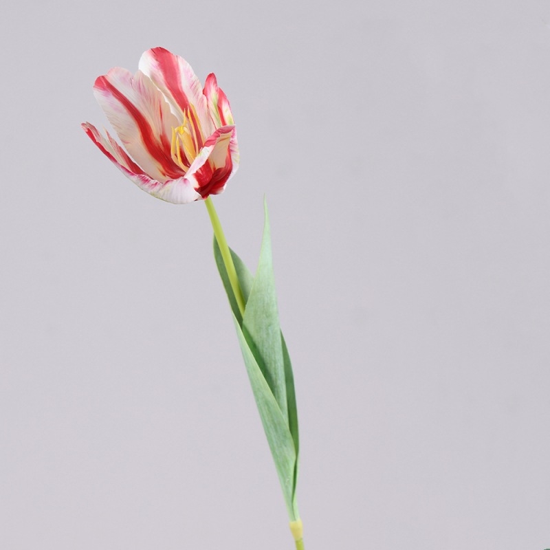 Simulated French Tulips