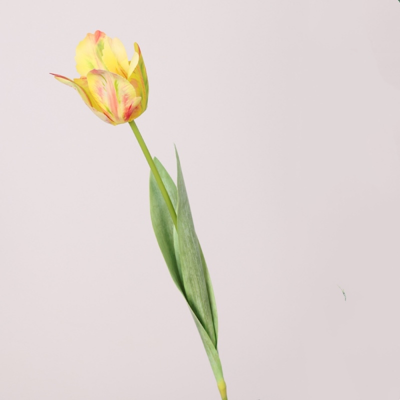 Simulated French Tulips