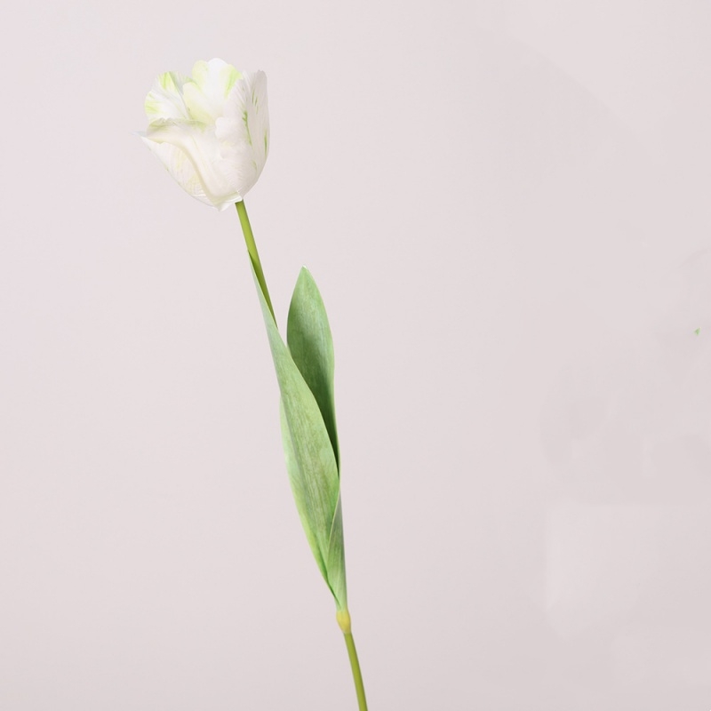 Simulated French Tulips