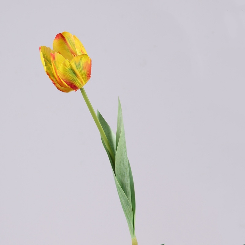 Simulated French Tulips