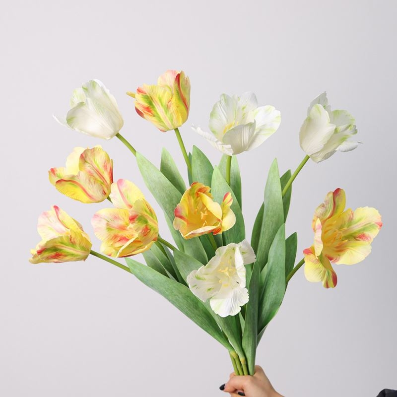 Simulated French Tulips