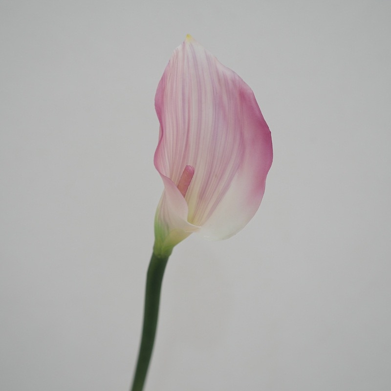 Wholesale artificial calla lilies