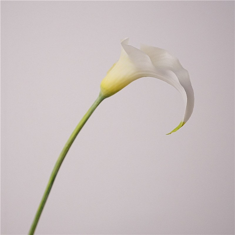 Artificial Dutch calla lilies