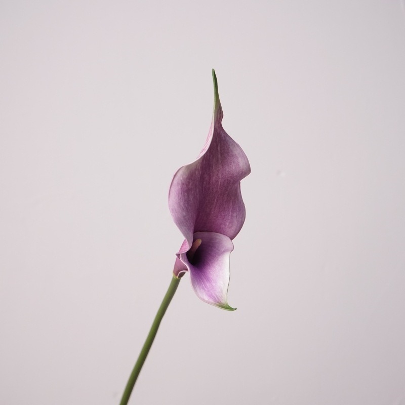 Artificial calla lilies with two flower heads