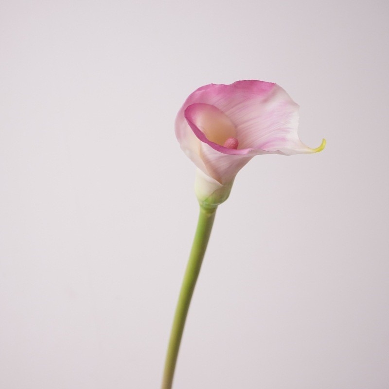 Trumpet-shaped artificial calla lilies