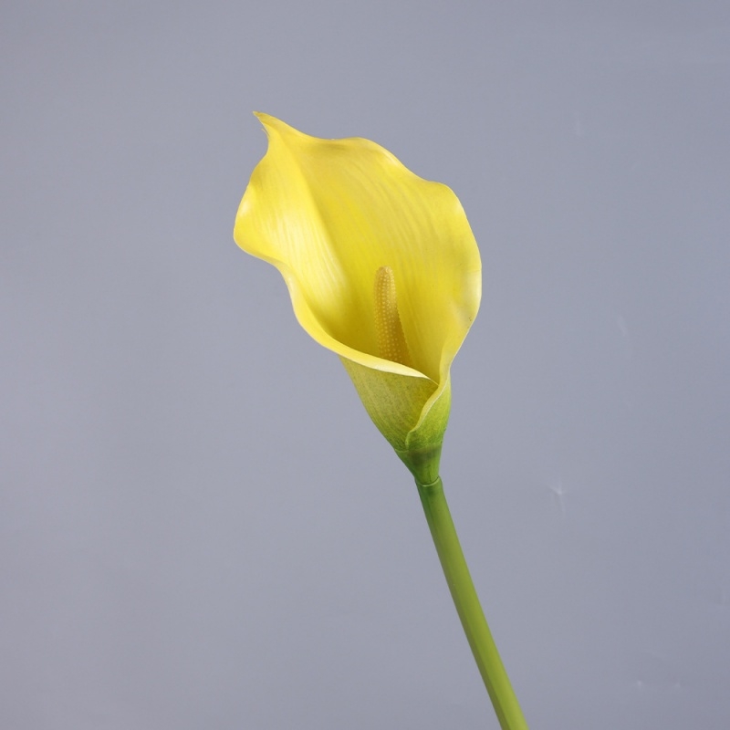 Simulated multi-colored calla lilies