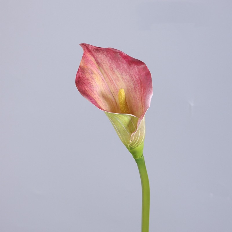 Simulated multi-colored calla lilies