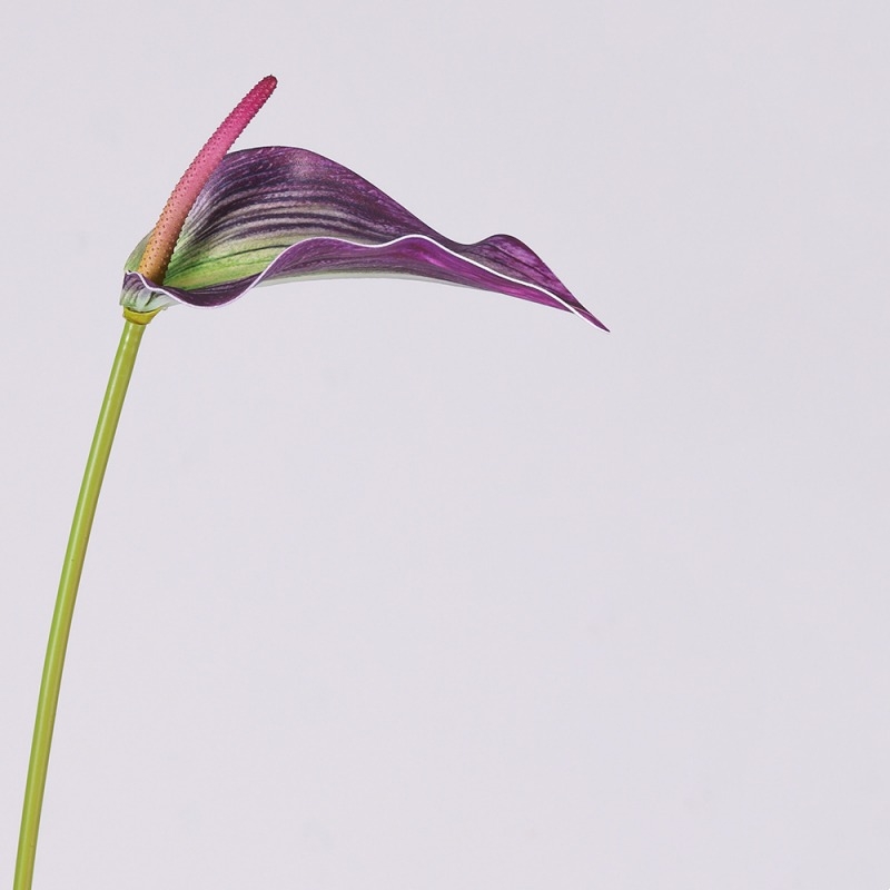 Multi-colored artificial calla lilies