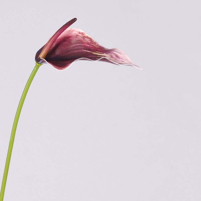 Multi-colored artificial calla lilies
