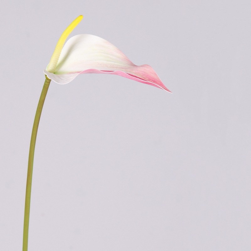 Multi-colored artificial calla lilies