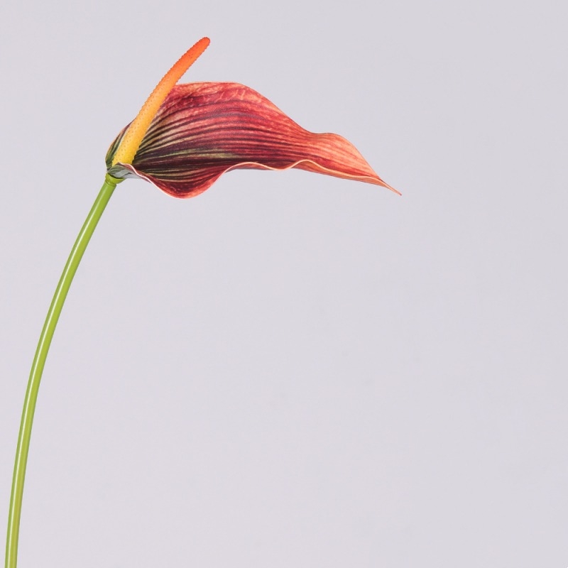 Multi-colored artificial calla lilies
