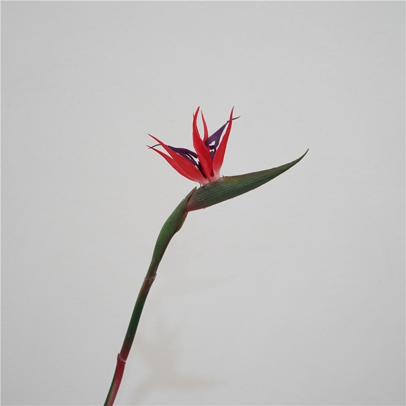 Wholesale of simulated bird of paradise