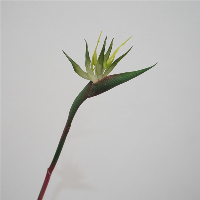 Wholesale of simulated bird of paradise