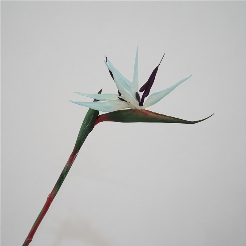 Wholesale of simulated bird of paradise