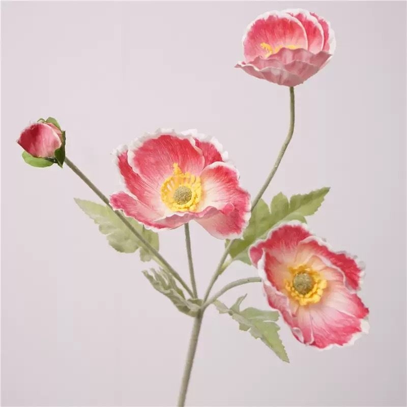 Simulated Icelandic poppy