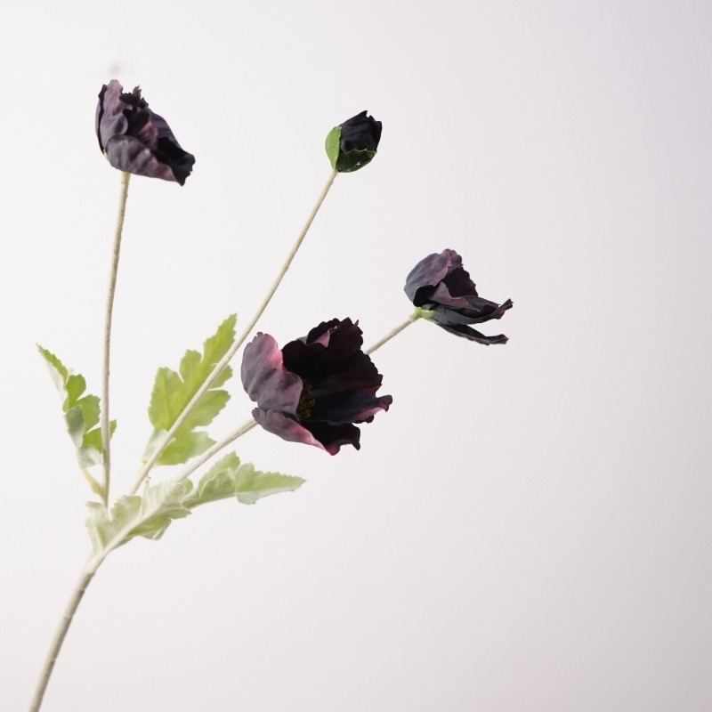 Simulated Icelandic poppy
