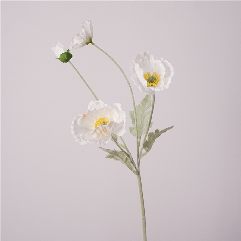 Simulated Icelandic poppy