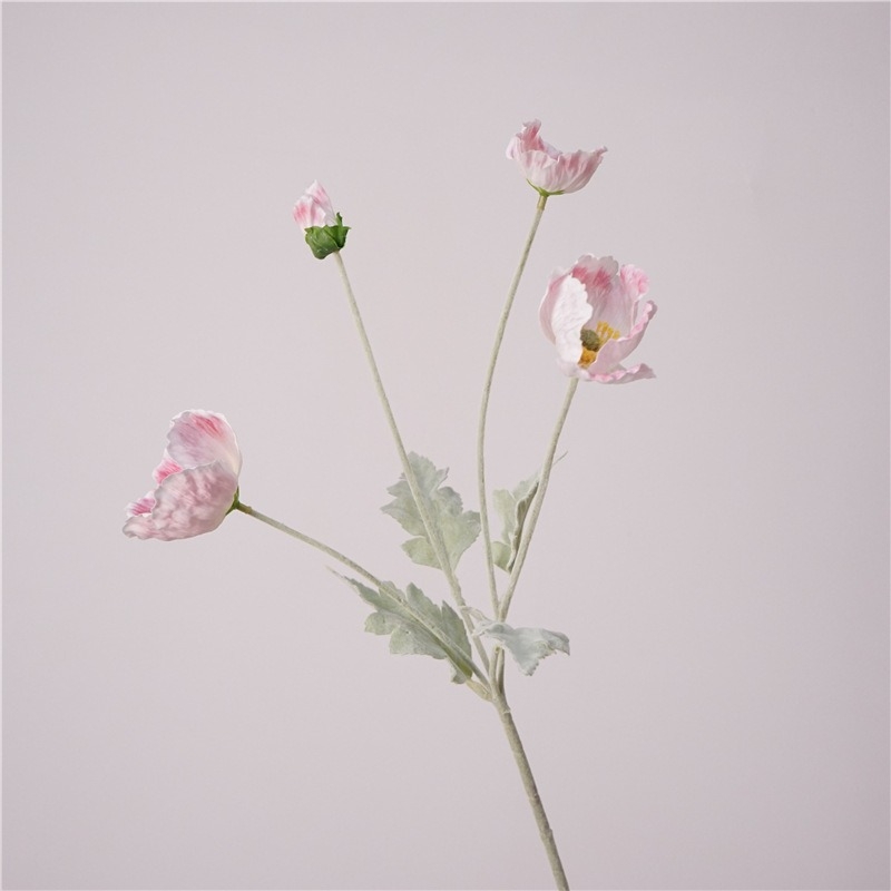 Simulated Icelandic poppy
