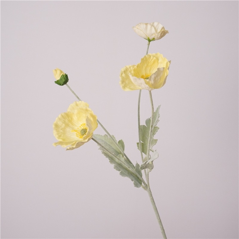 Simulated Icelandic poppy