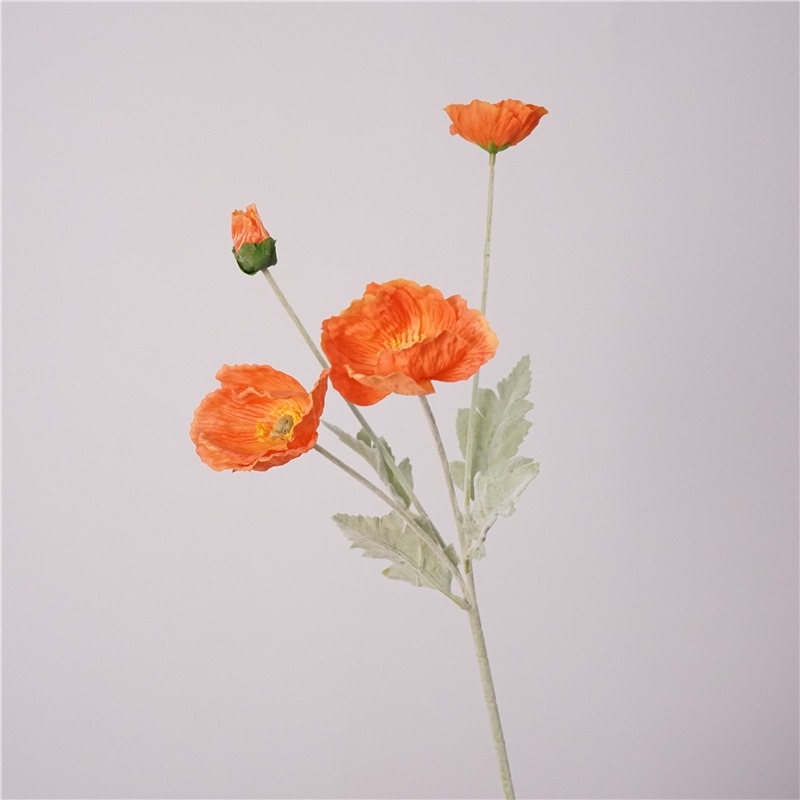 Simulated Icelandic poppy
