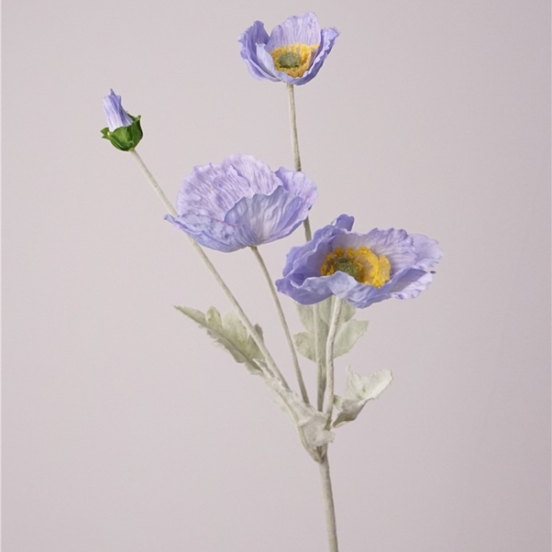 Simulated Icelandic poppy
