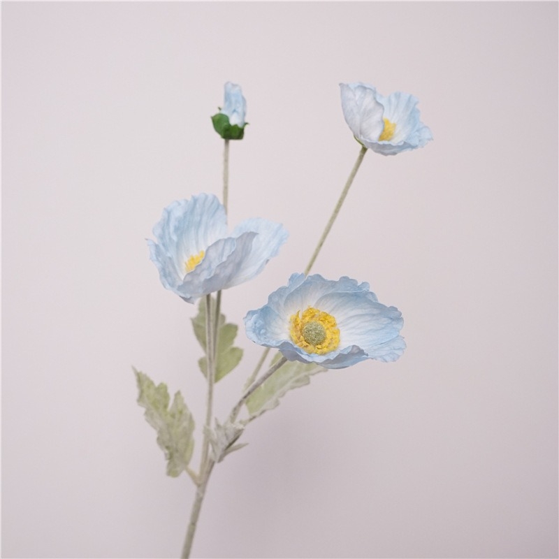 Simulated Icelandic poppy