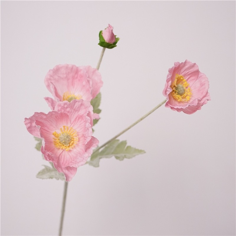 Simulated Icelandic poppy