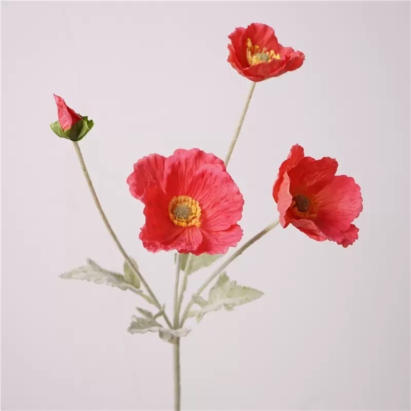 Simulated Icelandic poppy