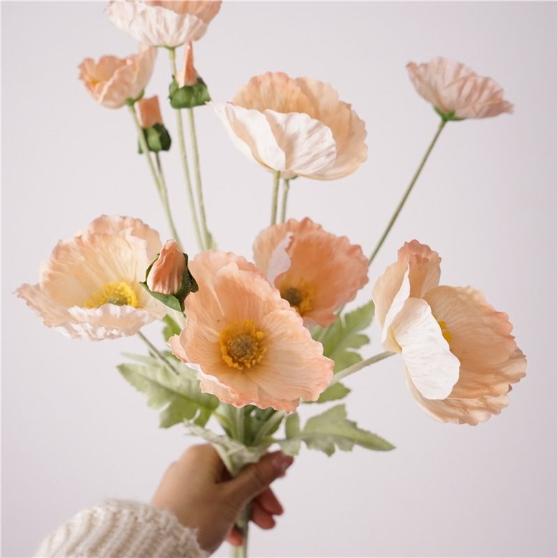 Simulated Icelandic poppy