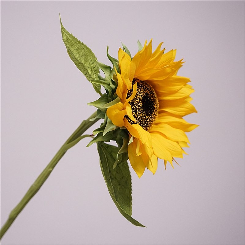 Moisturizing simulated sunflower
