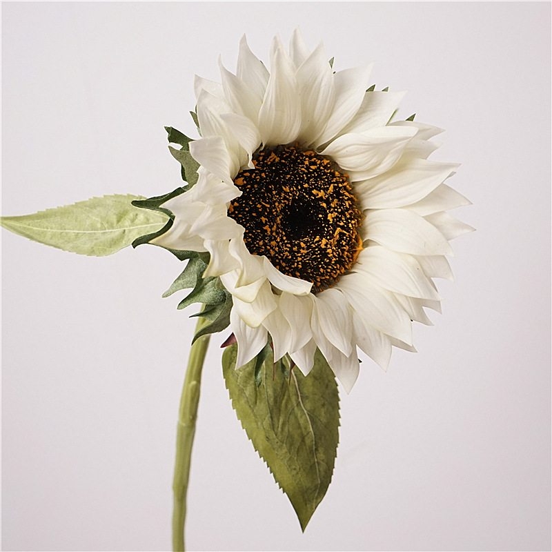 Moisturizing simulated sunflower